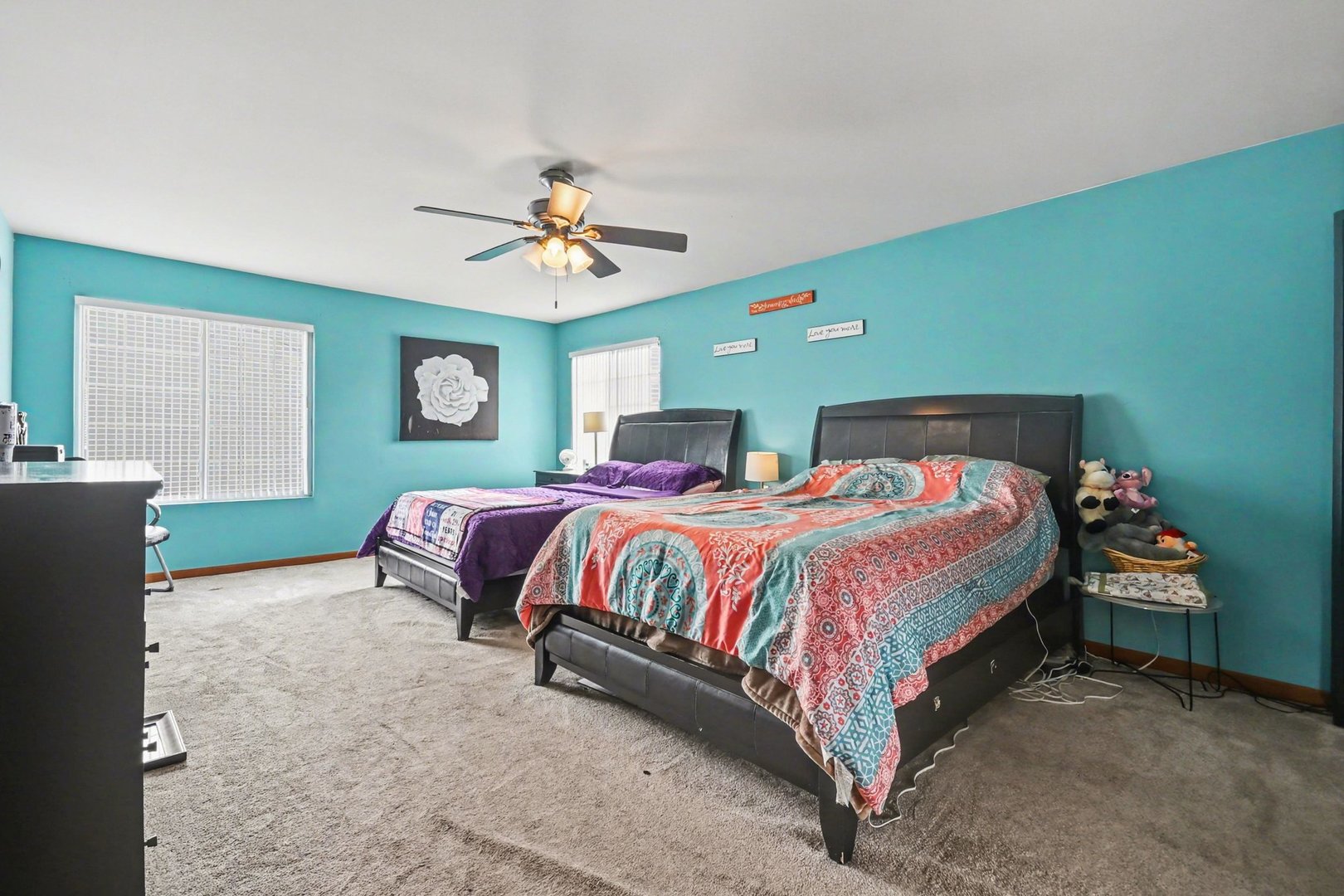 14517 Meadow Lane, Plainfield, IL 60544