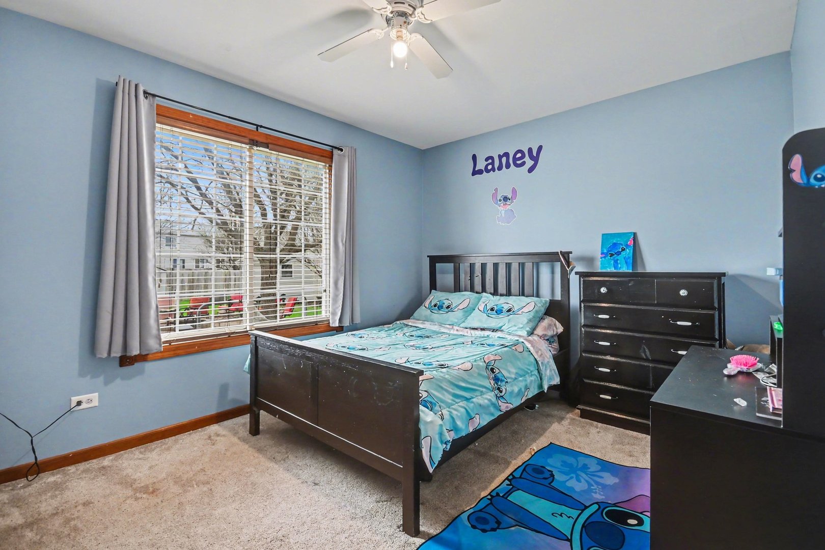 14517 Meadow Lane, Plainfield, IL 60544