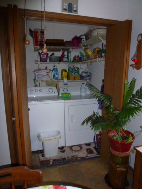 3 Deerefield Court, Clinton, IL 61727