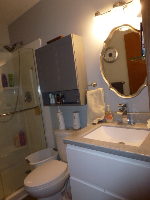 3 Deerefield Court, Clinton, IL 61727