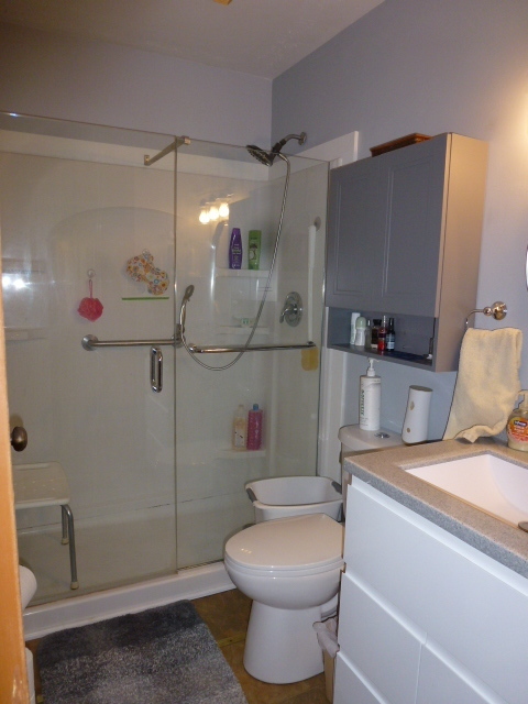 3 Deerefield Court, Clinton, IL 61727