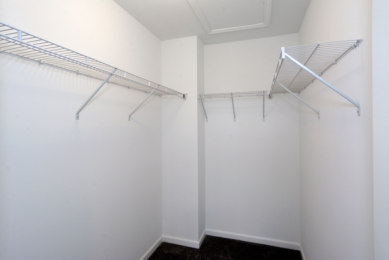 309 Timberleaf Circle, Roselle, IL 60172