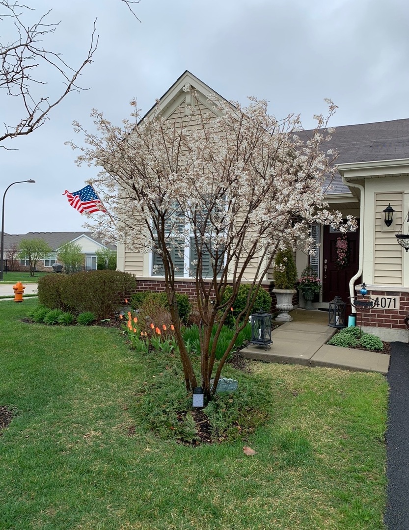 4071 Chesapeake Lane, Naperville, IL 60564