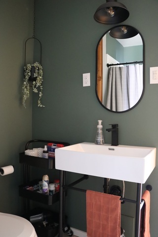 1116 Adelia Street, Downers Grove, IL 60516