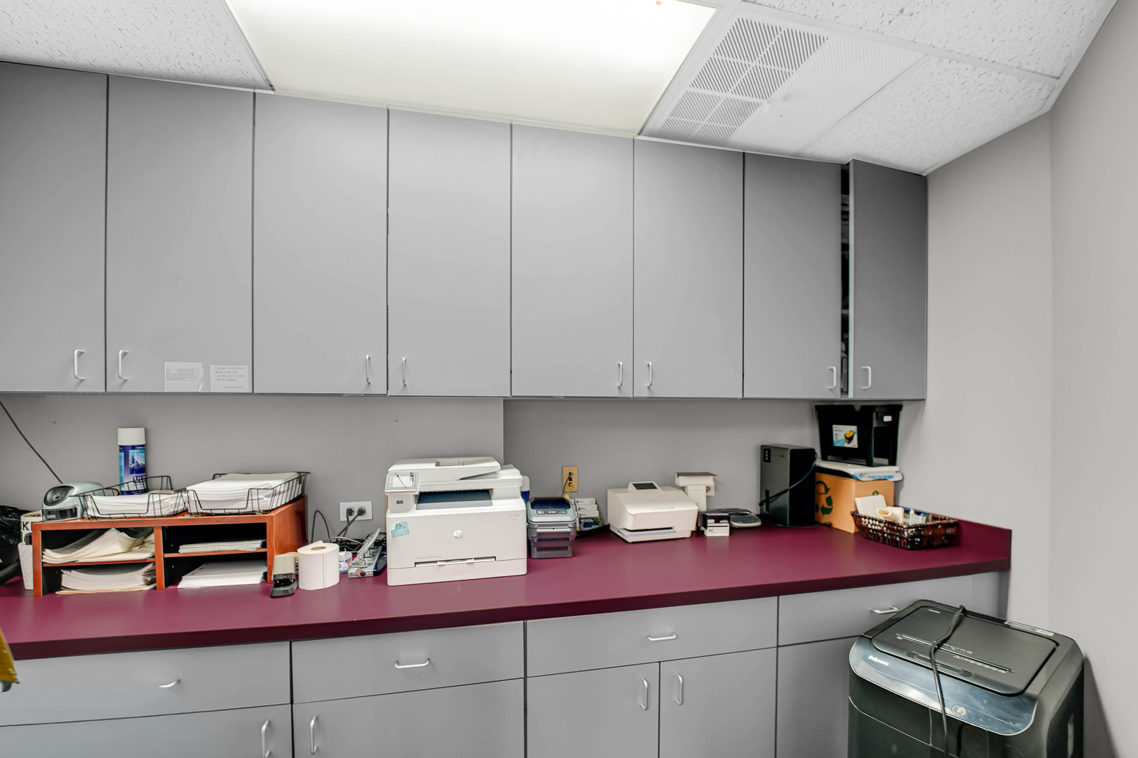 1175 Jansen Farm Court, Elgin, IL 60123