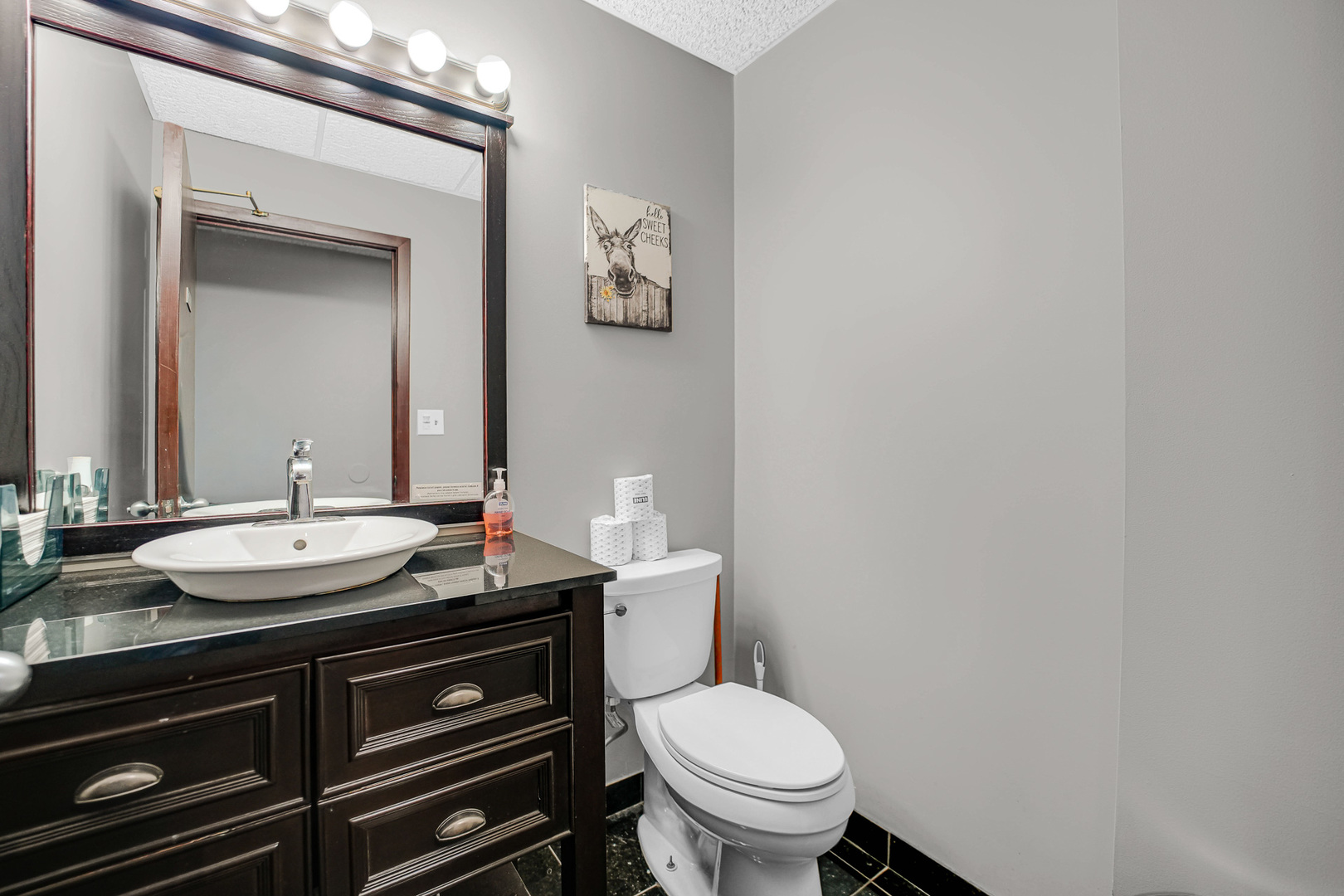 1175 Jansen Farm Court, Elgin, IL 60123