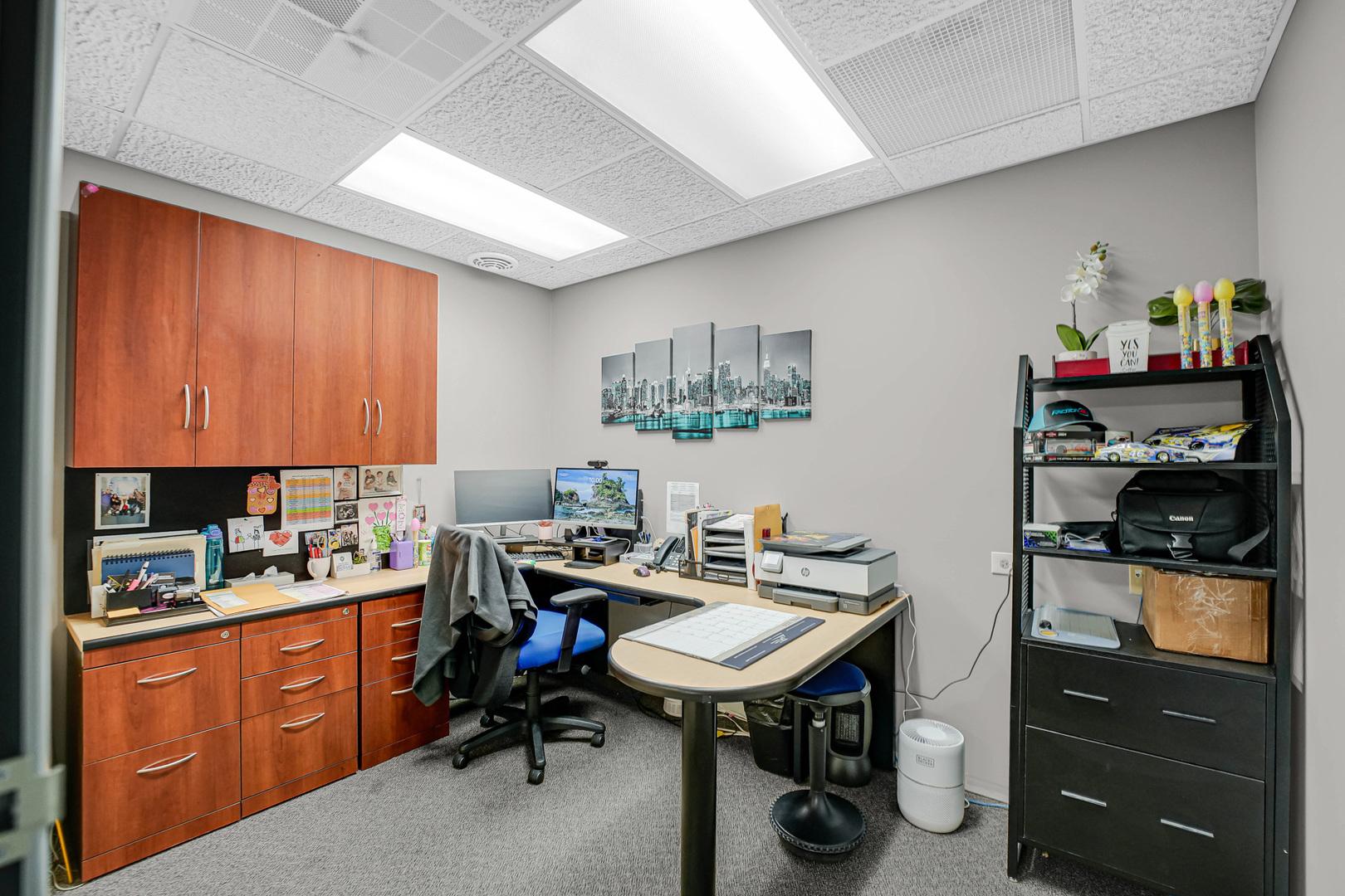 1175 Jansen Farm Court, Elgin, IL 60123