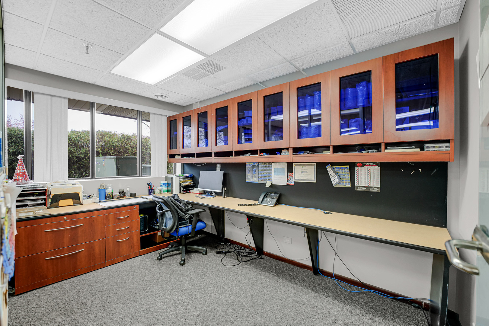 1175 Jansen Farm Court, Elgin, IL 60123