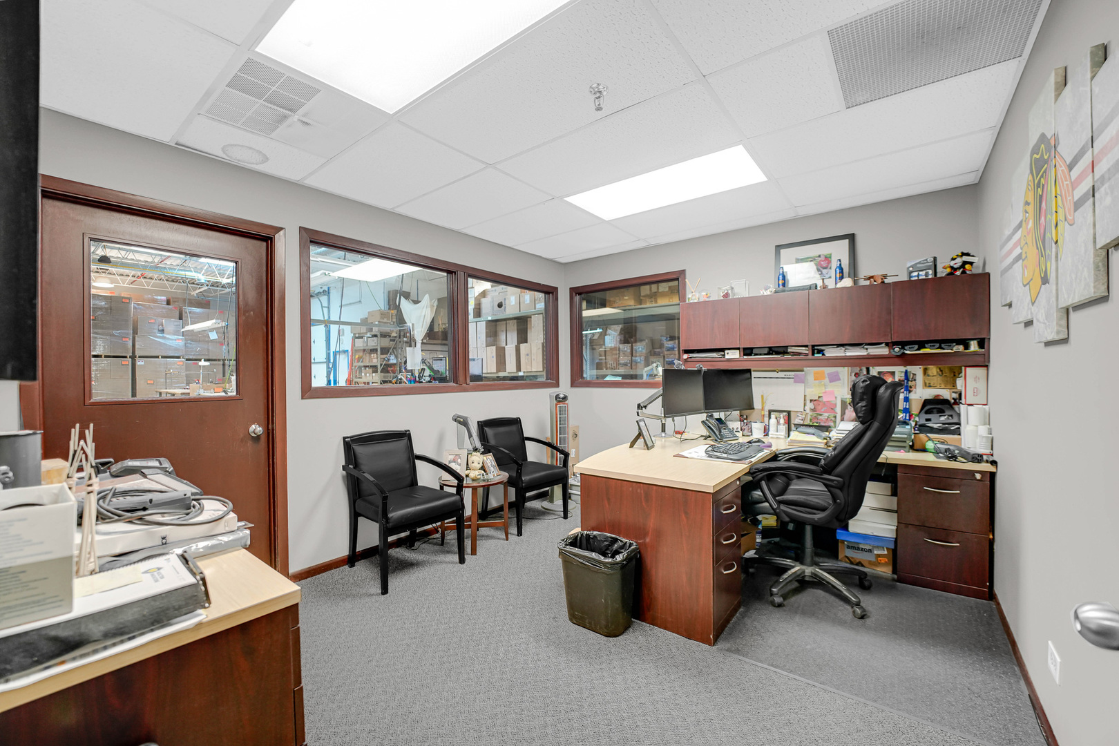 1175 Jansen Farm Court, Elgin, IL 60123