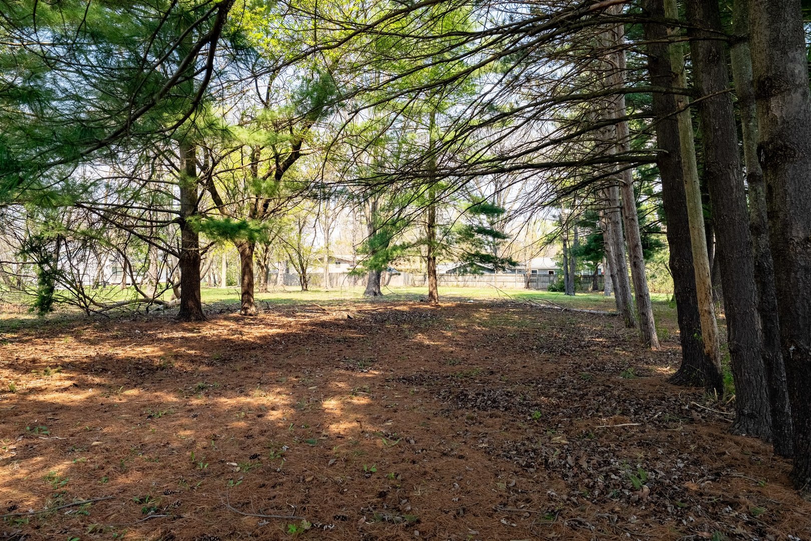 1702 W Hovey Avenue, Normal, IL 61761