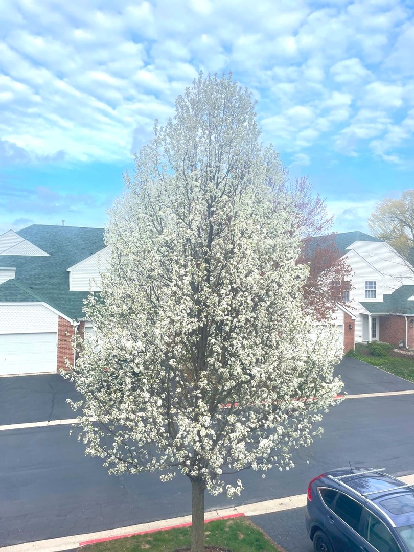 106 Pembroke Circle #2-6, Lake Bluff, IL 60044