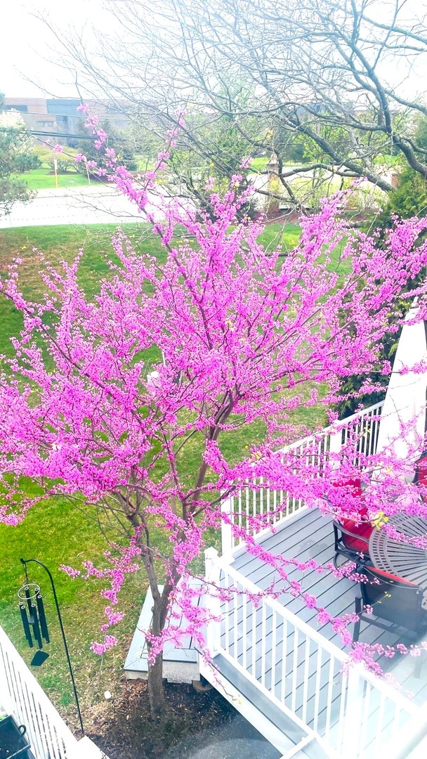 106 Pembroke Circle #2-6, Lake Bluff, IL 60044