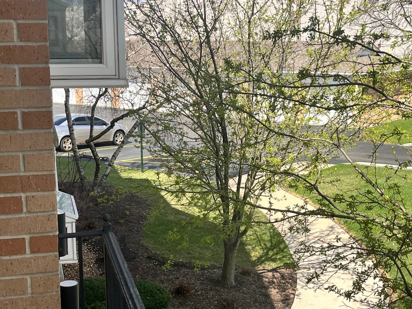 18320 Robin Lane #D2, Homewood, IL 60430