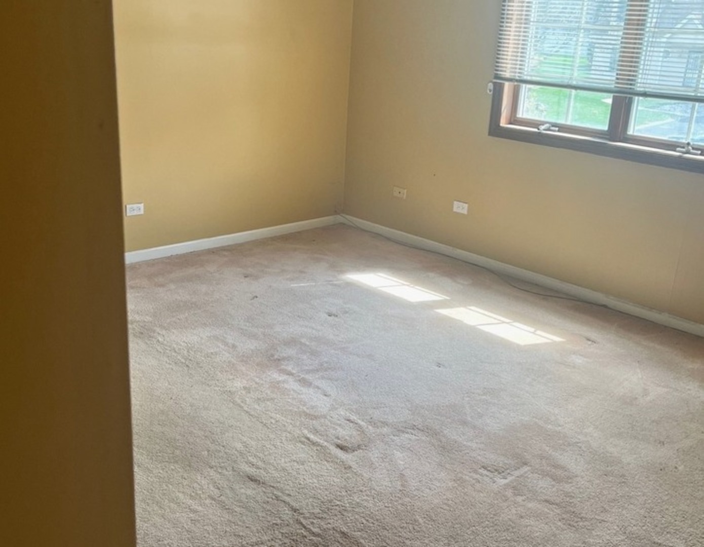 18320 Robin Lane #D2, Homewood, IL 60430