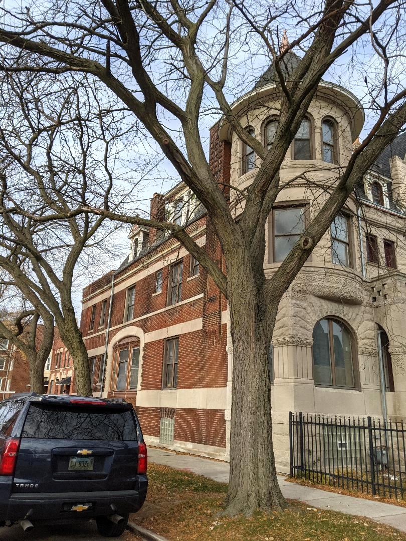 4558 S Ellis Avenue, Chicago, IL 60653