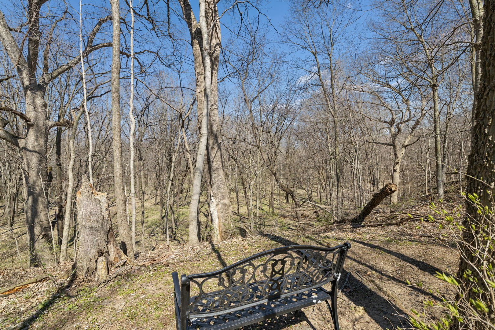 15919 Burr Oak Road, Plano, IL 60545