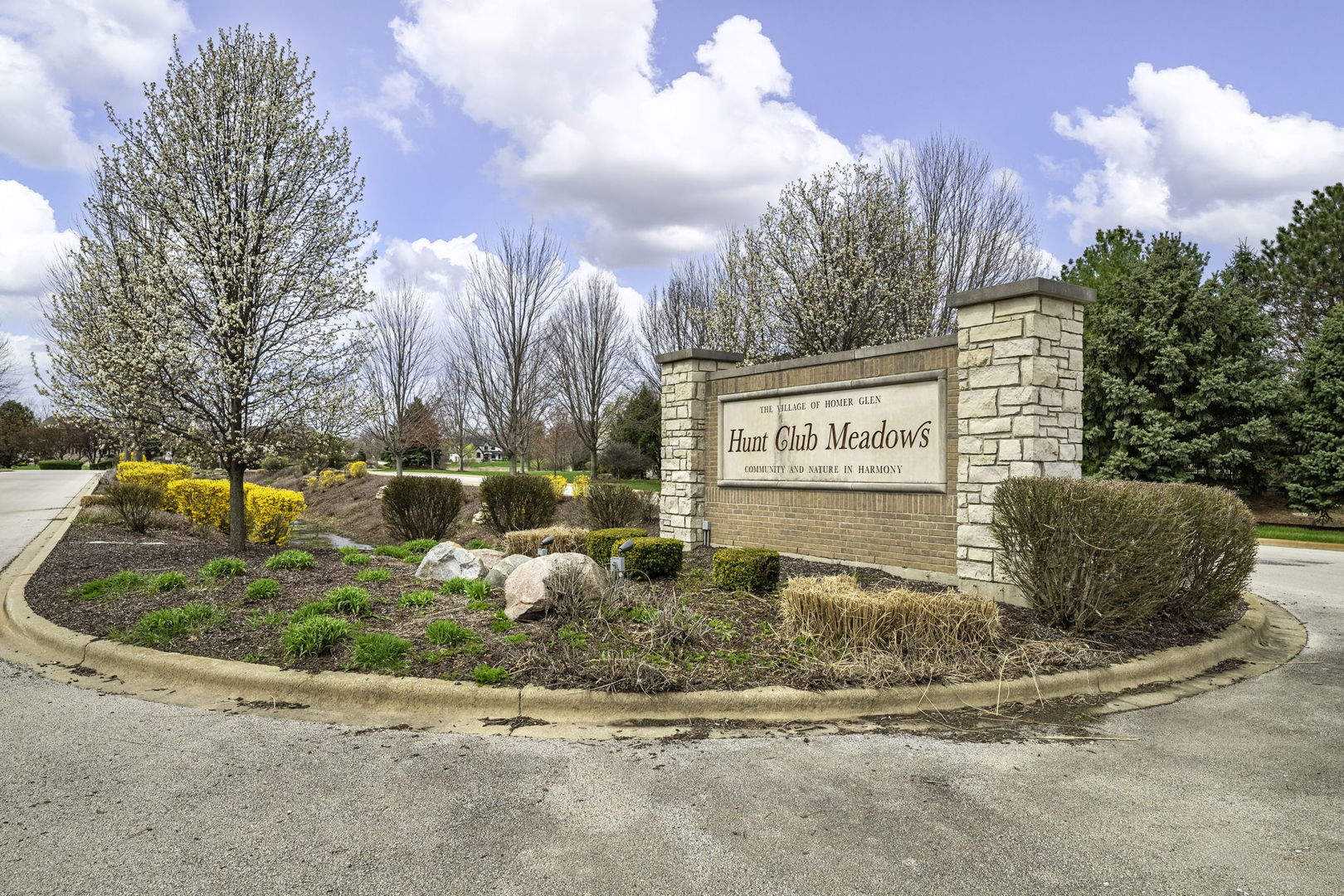 18490 S Pineprairie Drive, Mokena, IL 60448