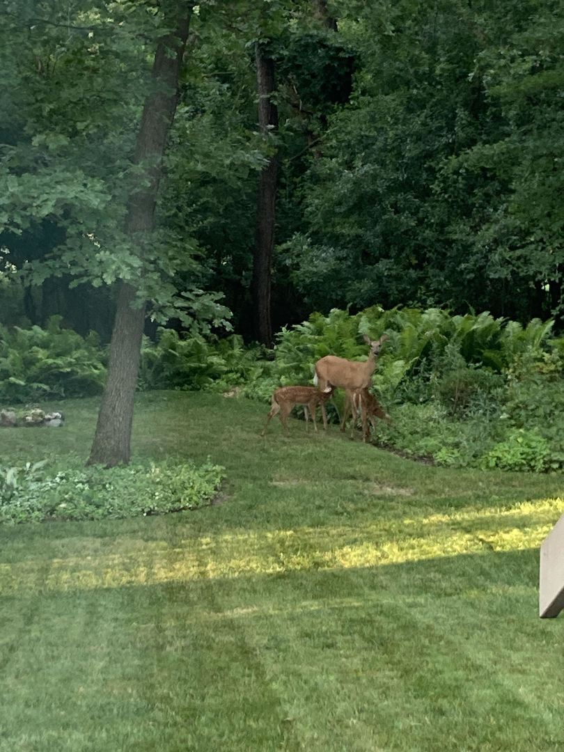 674 Wood Creek Drive, Antioch, IL 60002