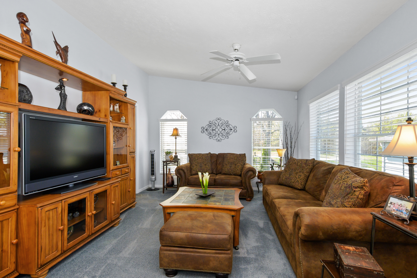 10719 W Butterfield Drive, Frankfort, IL 60423