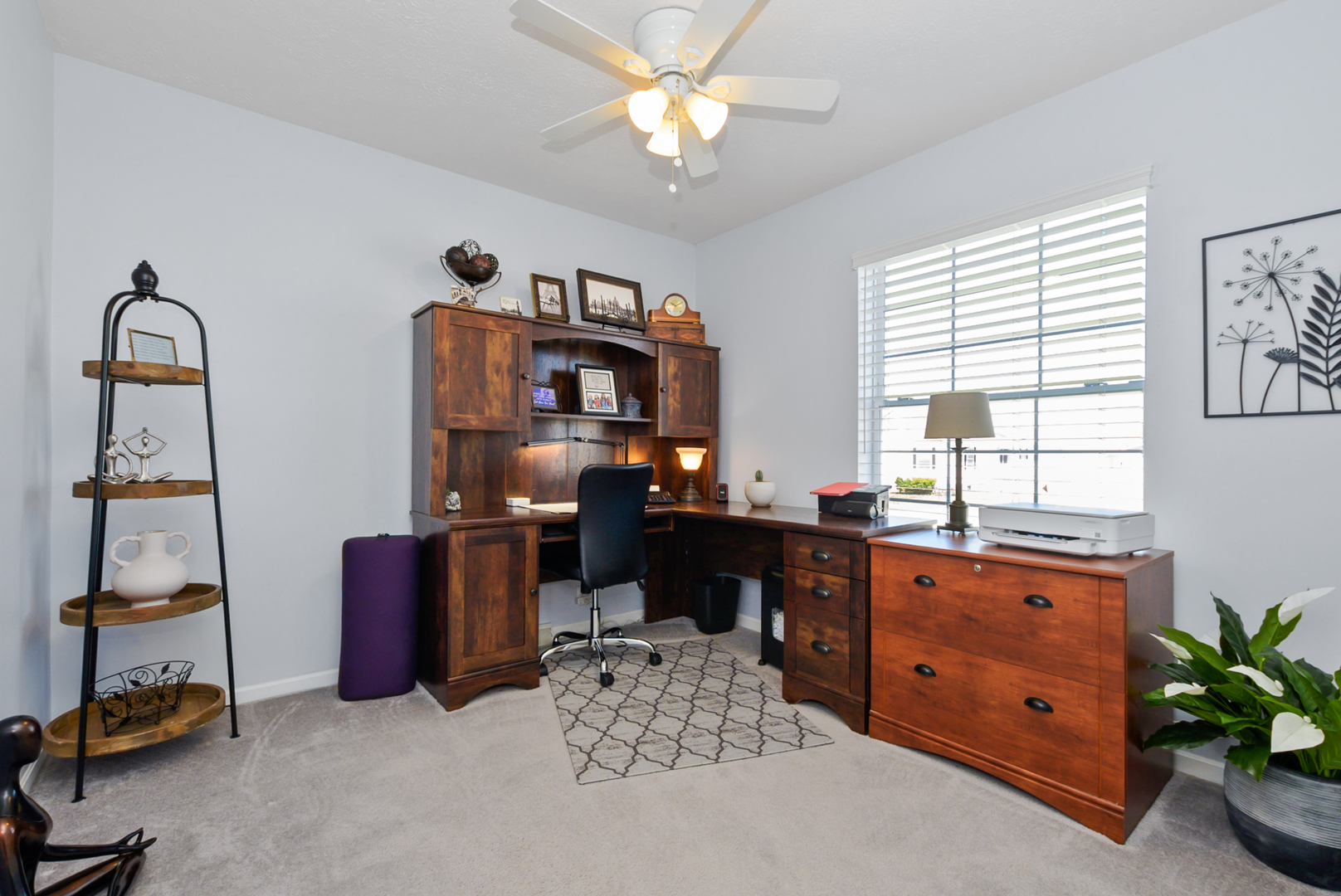 10719 W Butterfield Drive, Frankfort, IL 60423