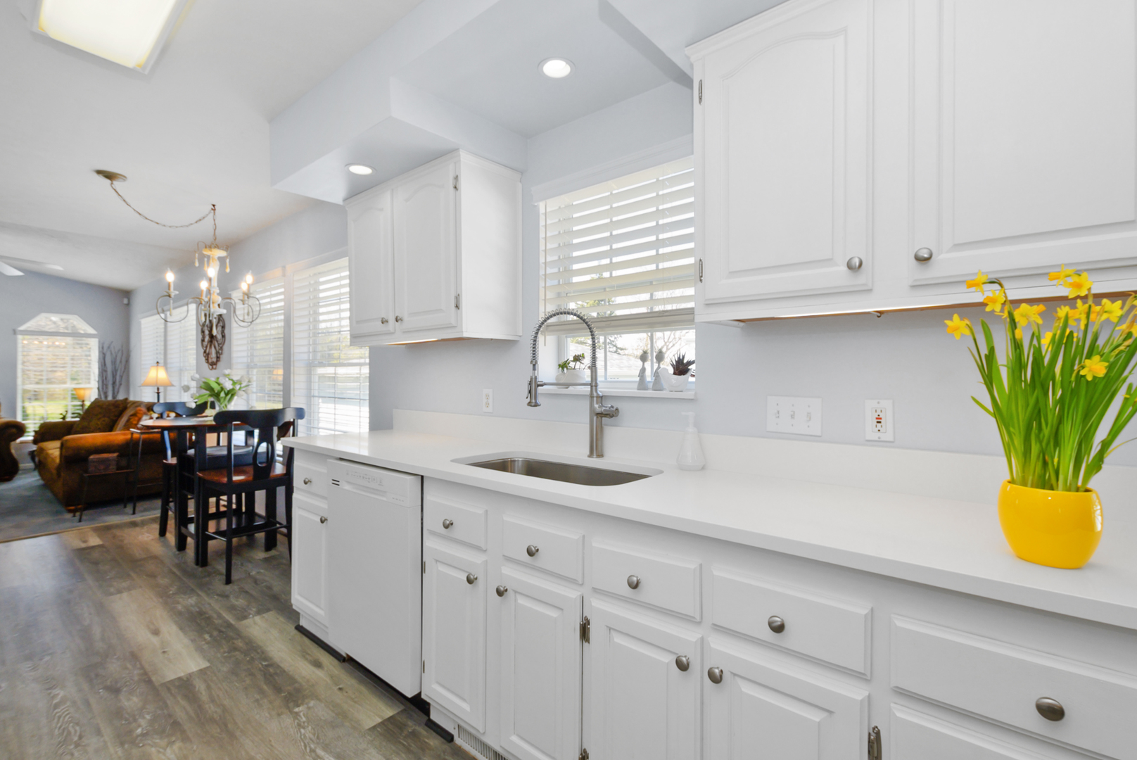 10719 W Butterfield Drive, Frankfort, IL 60423