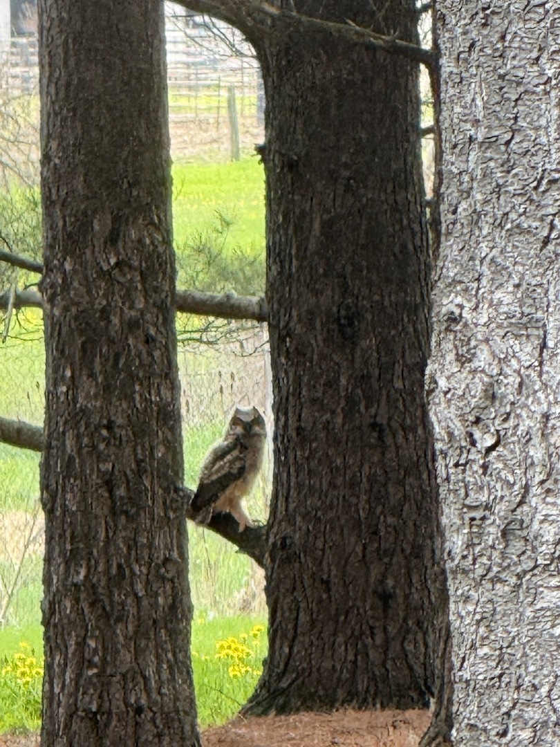 17960 S HUNT CLUB Drive, Homer Glen, IL 60491