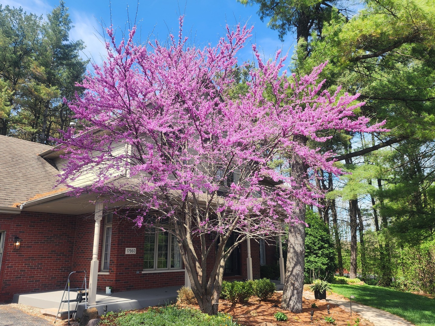 17960 S HUNT CLUB Drive, Homer Glen, IL 60491