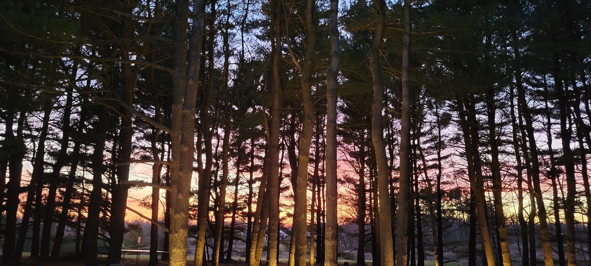 17960 S HUNT CLUB Drive, Homer Glen, IL 60491