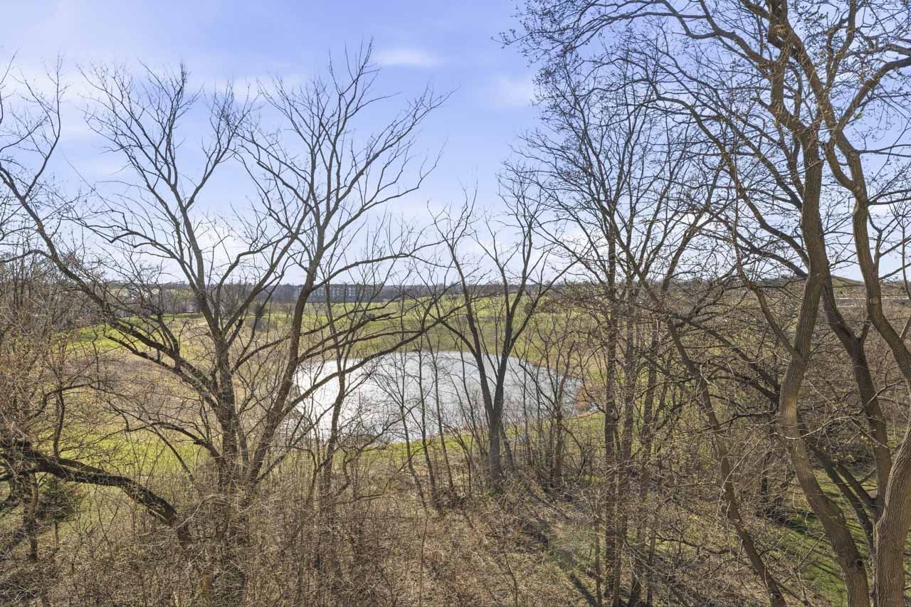 455 W Wood Street #405, Palatine, IL 60067