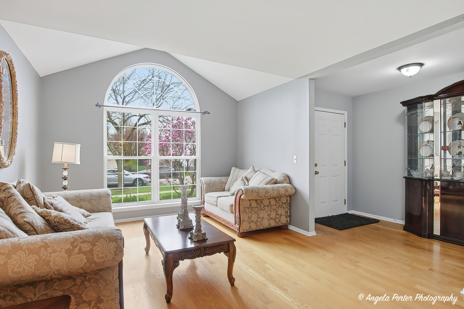 283 Spring Lake Drive, Round Lake, IL 60073