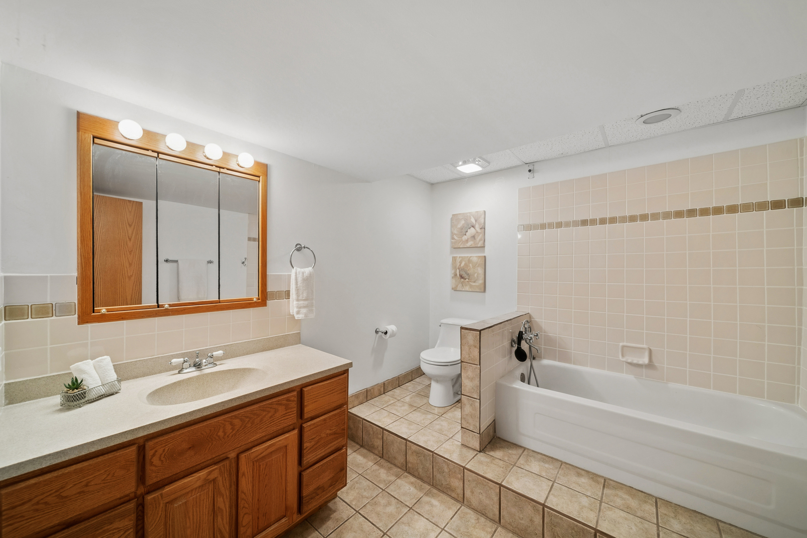 2216 Olde Mill Road, Plainfield, IL 60586