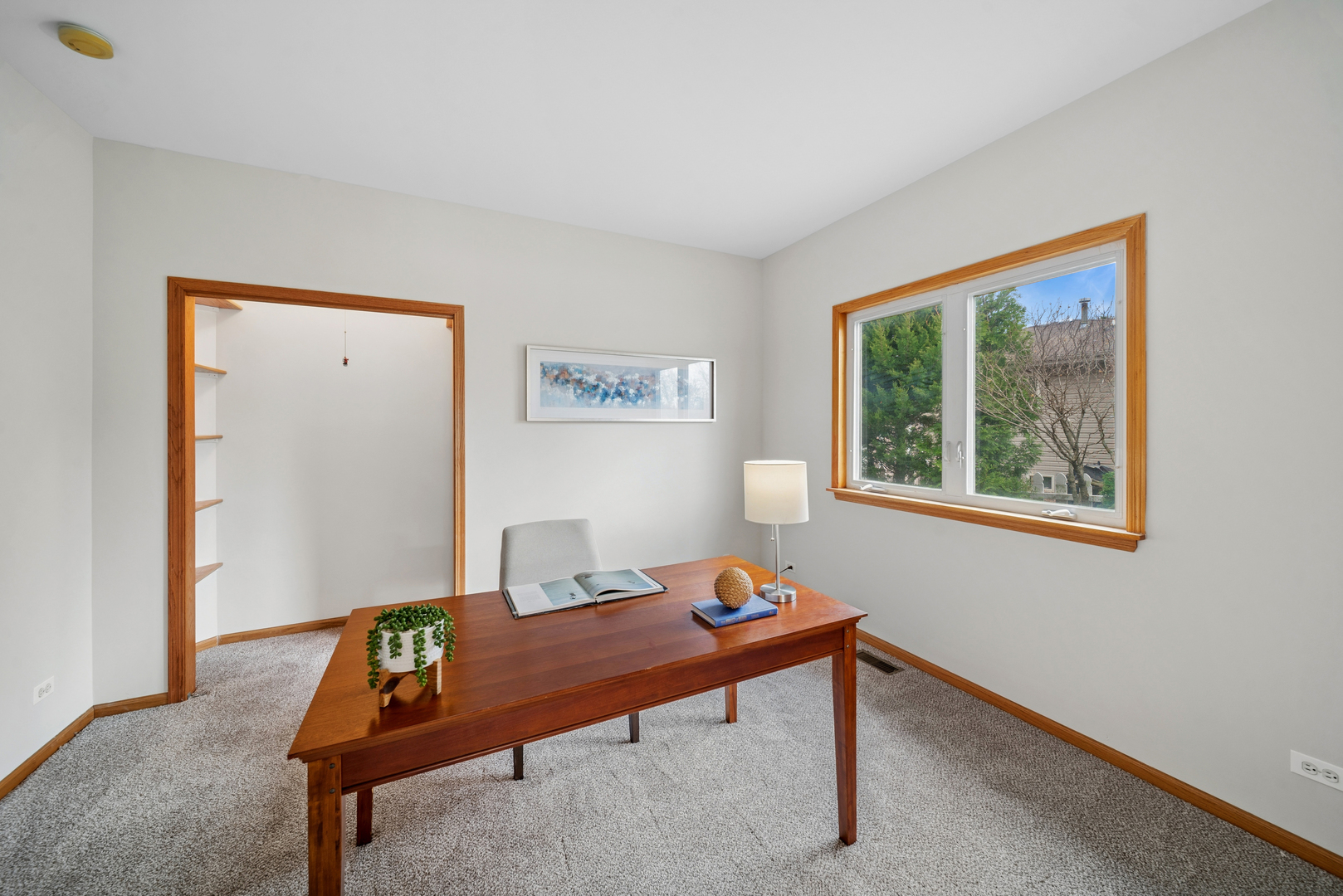 2216 Olde Mill Road, Plainfield, IL 60586