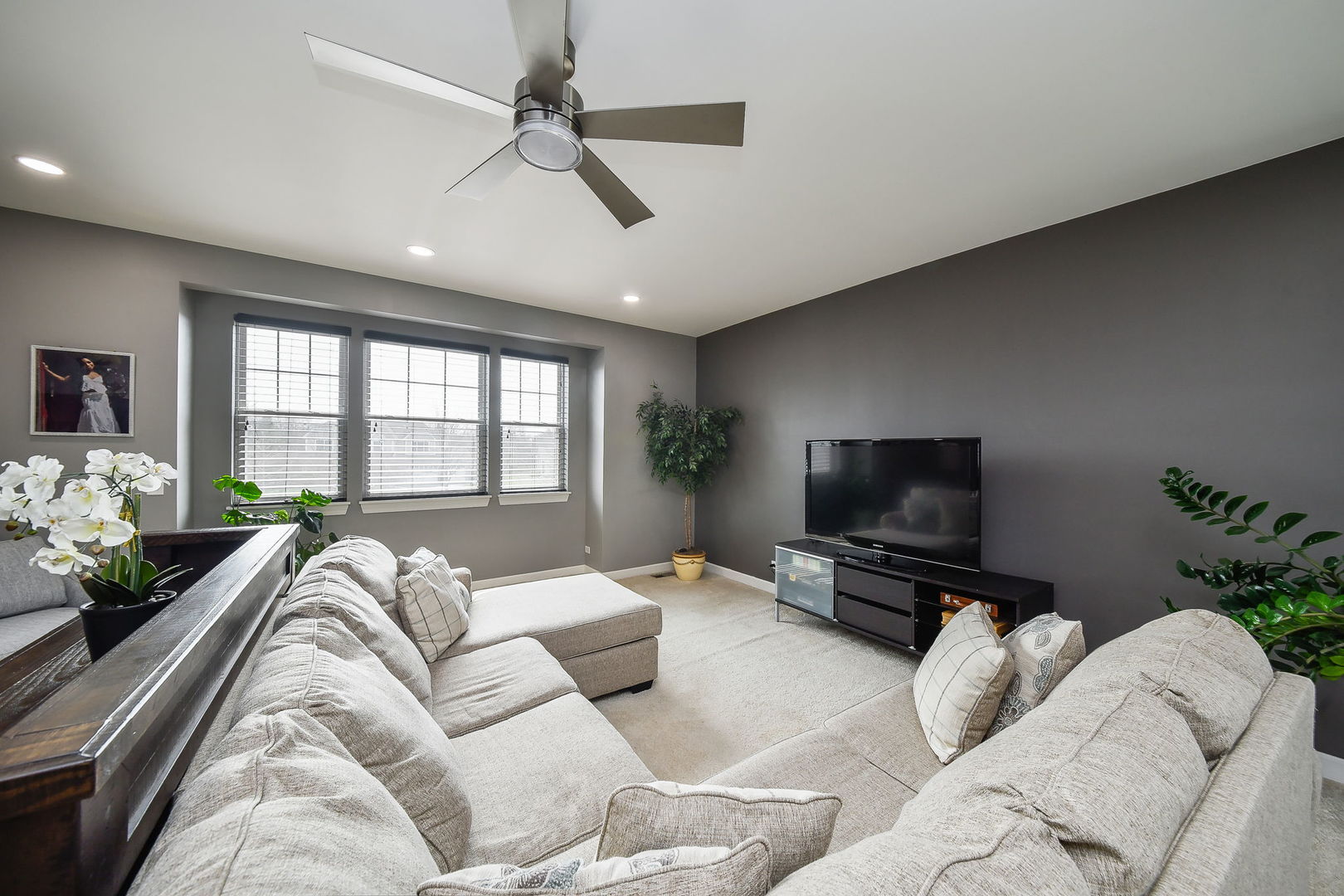 3022 Long Common Parkway, Elgin, IL 60124