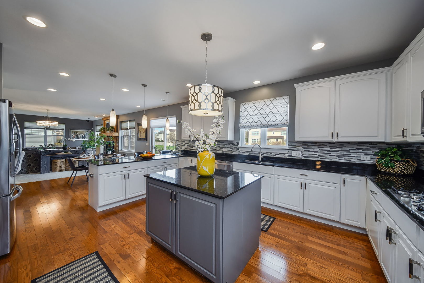 3022 Long Common Parkway, Elgin, IL 60124