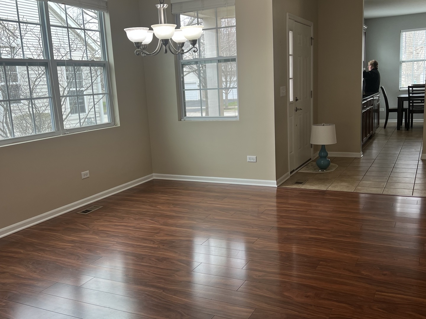 8225 Tremont Lane, Joliet, IL 60431