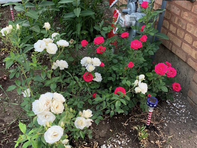 1511 Kemman Avenue, La Grange Park, IL 60526