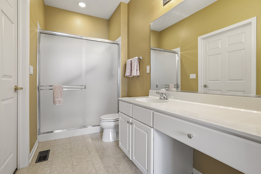 13517 S BUCKTHORN Lane, Plainfield, IL 60544