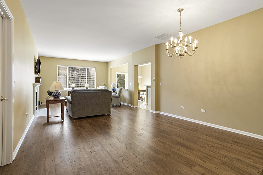 13517 S BUCKTHORN Lane, Plainfield, IL 60544