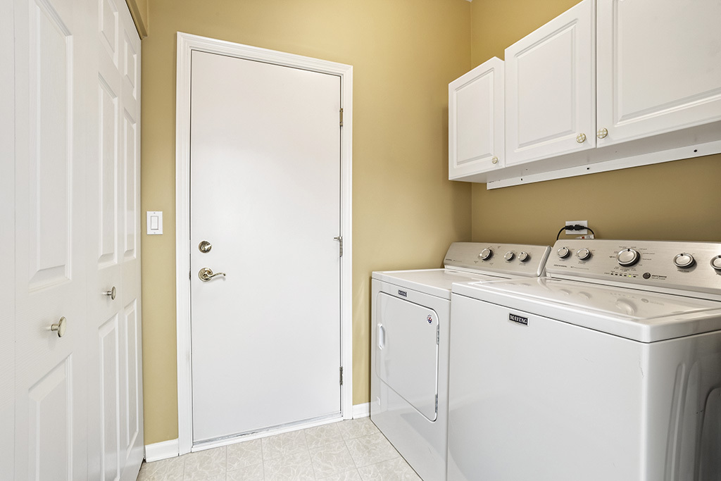 13517 S BUCKTHORN Lane, Plainfield, IL 60544