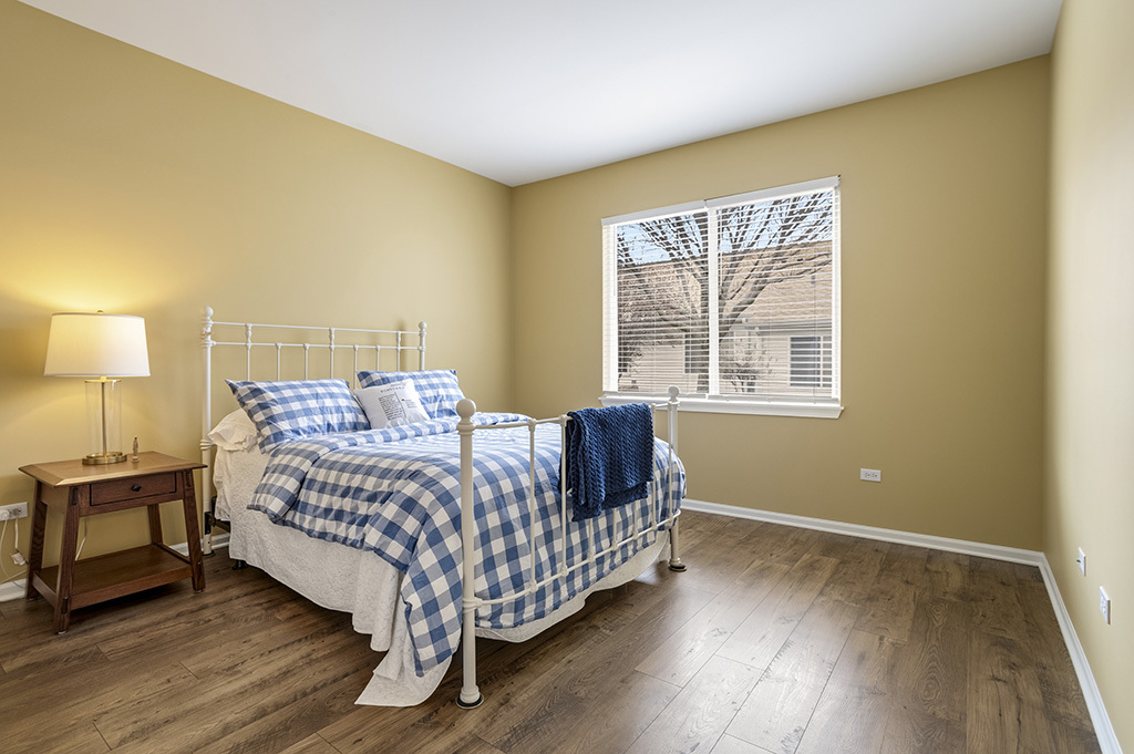 13517 S BUCKTHORN Lane, Plainfield, IL 60544