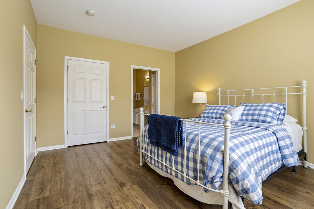 13517 S BUCKTHORN Lane, Plainfield, IL 60544