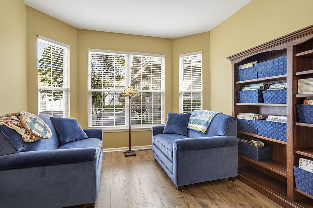 13517 S BUCKTHORN Lane, Plainfield, IL 60544