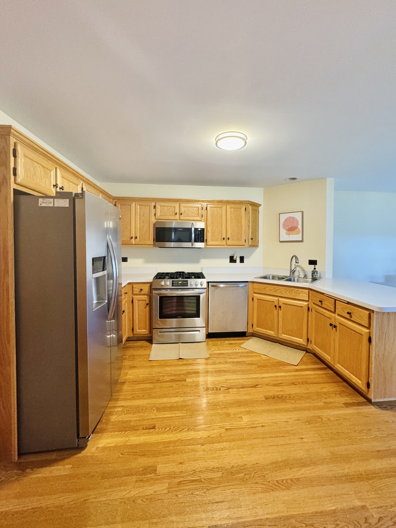 19245 Tramore Lane, Mokena, IL 60448