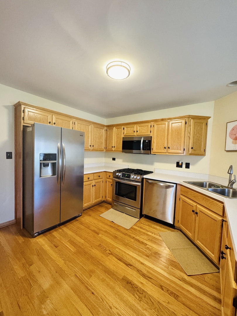 19245 Tramore Lane, Mokena, IL 60448