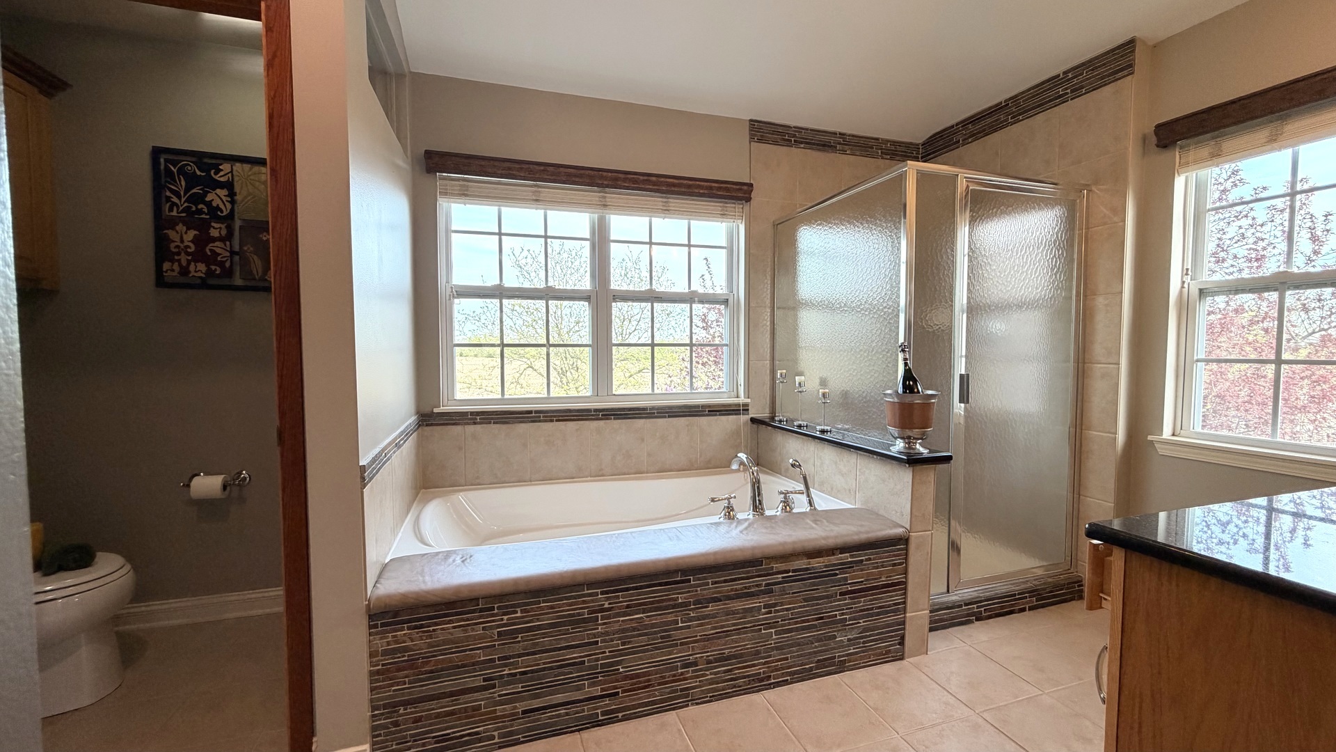 6 Glenview Court, Bolingbrook, IL 60490