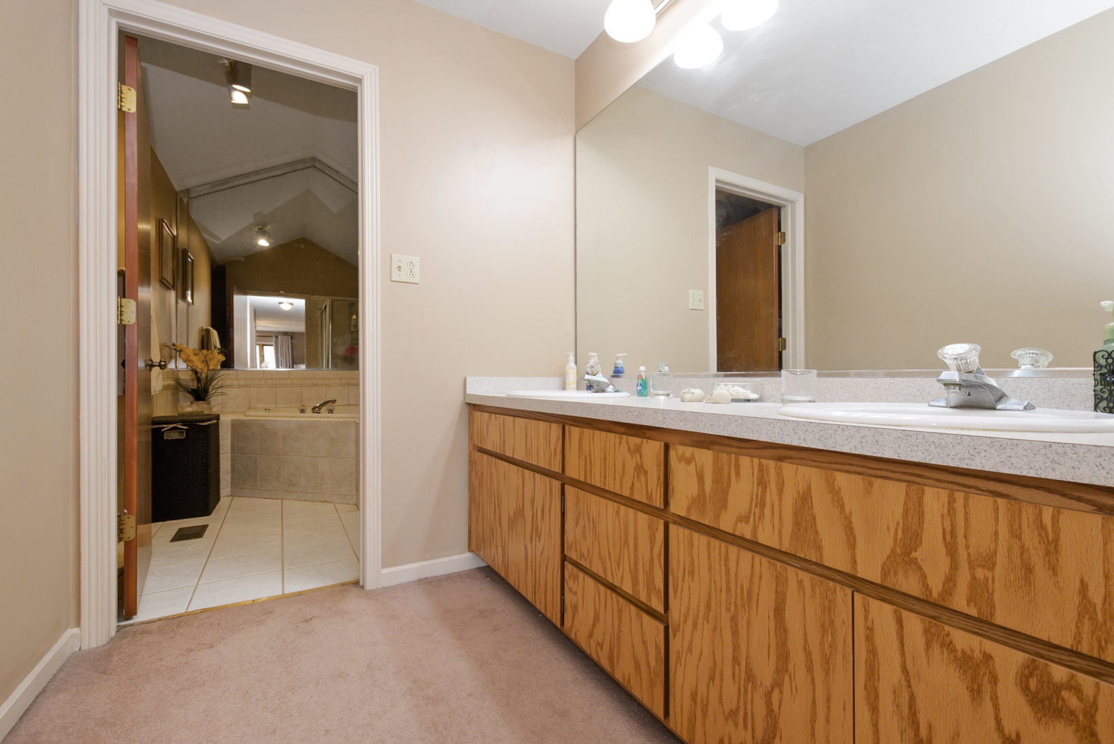 19334 Carrick Way, Tinley Park, IL 60487