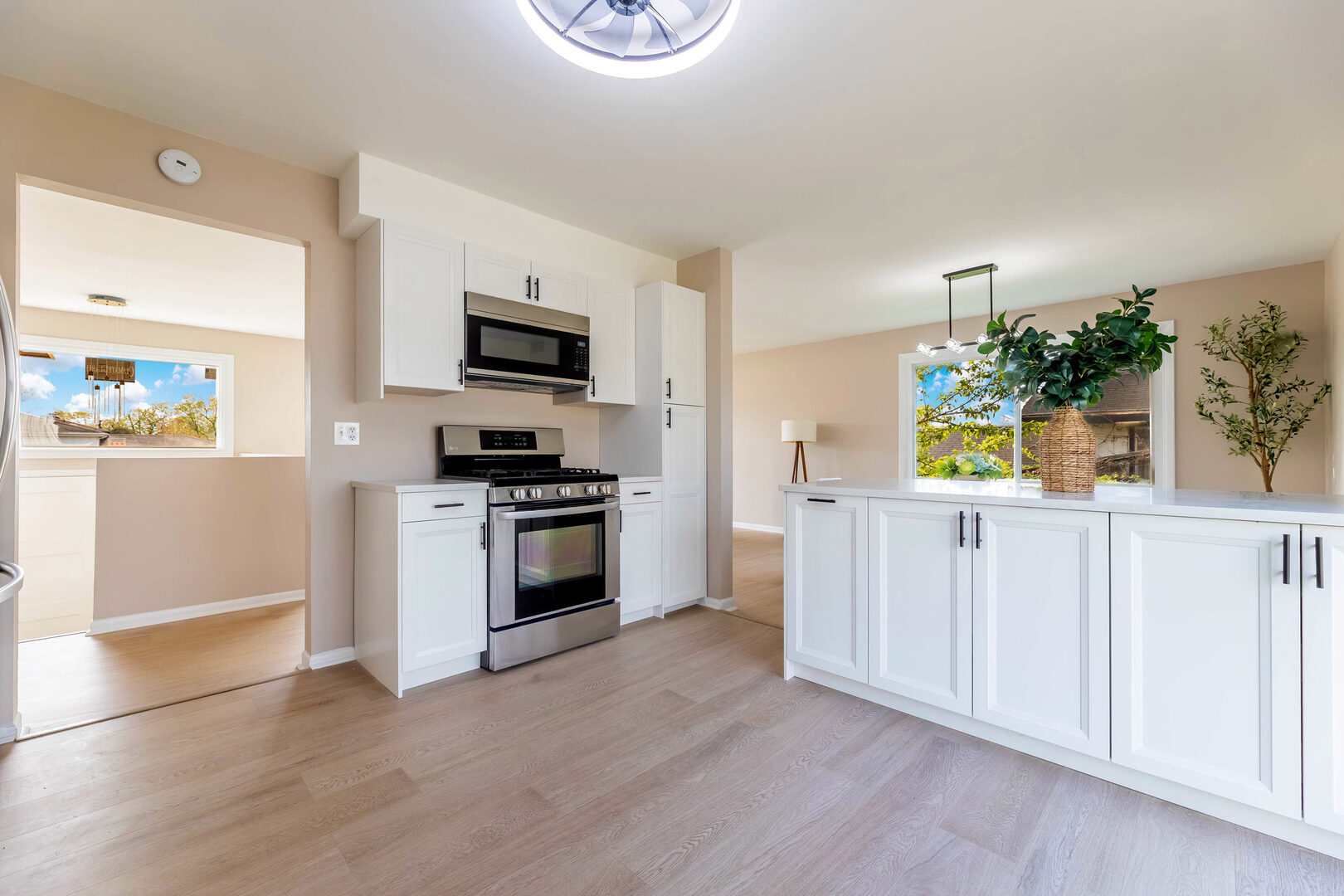 252 S Ellis Avenue, Glenwood, IL 60425