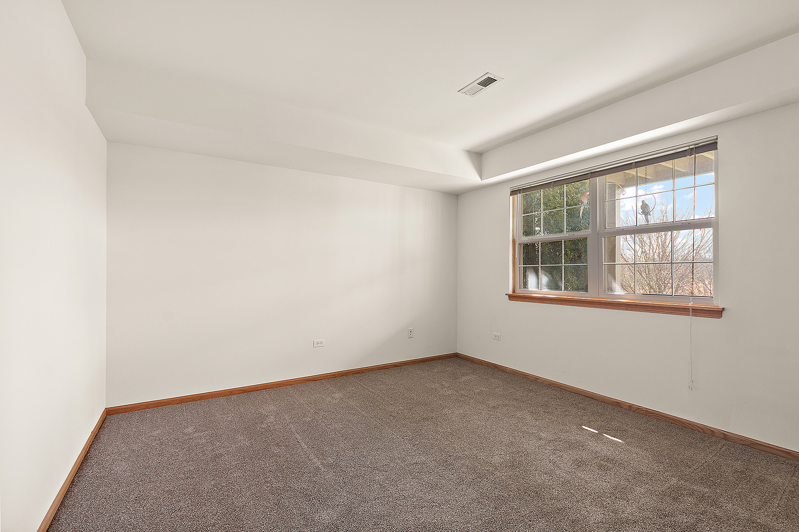 6881 Geneva Drive, Tinley Park, IL 60477