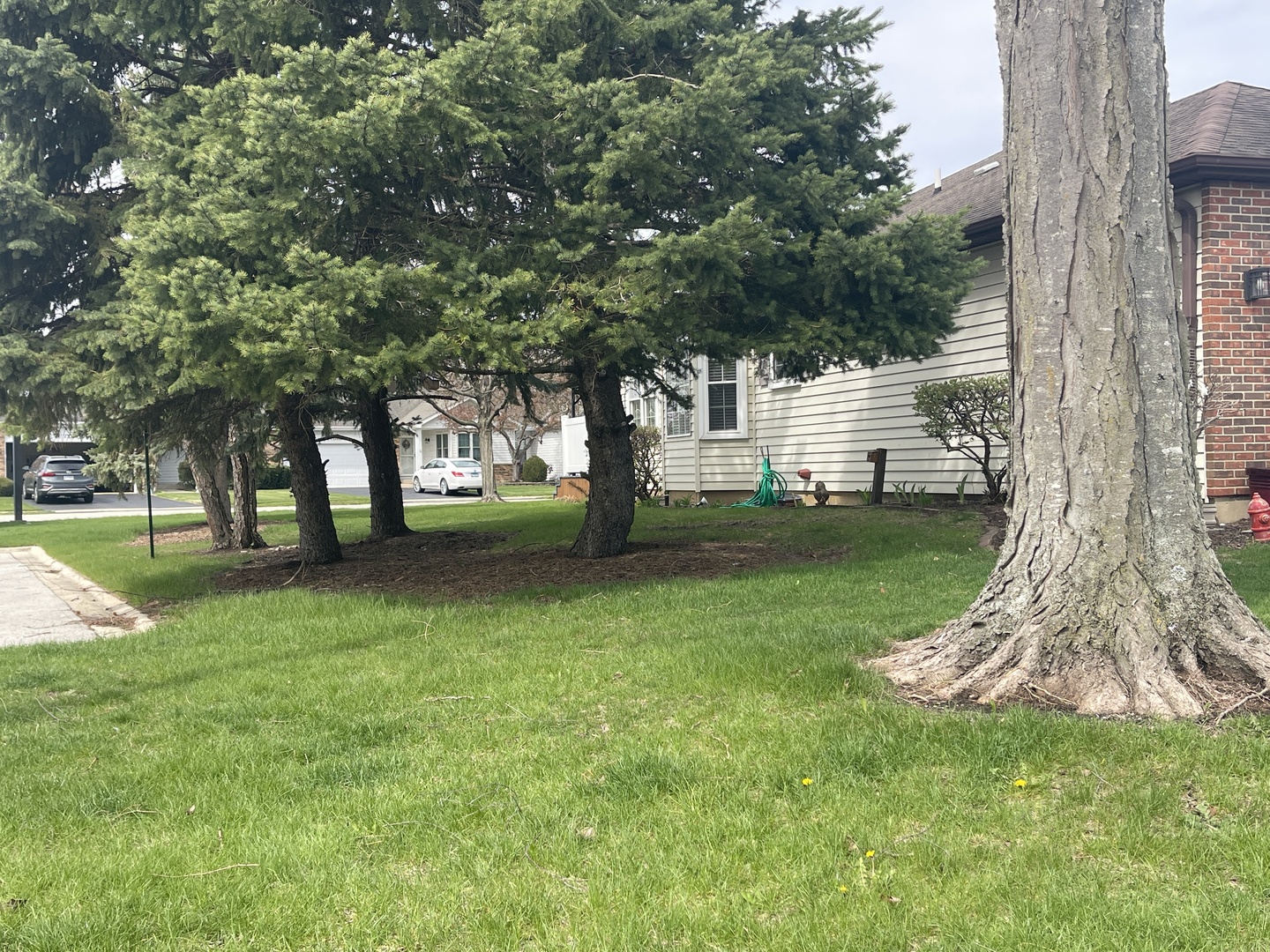 20838 W Peppertree Court, Plainfield, IL 60544