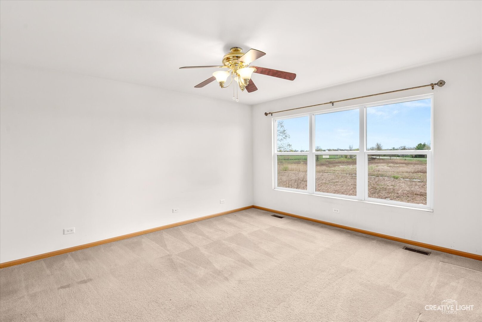 443 Grape Vine Trail, Oswego, IL 60543